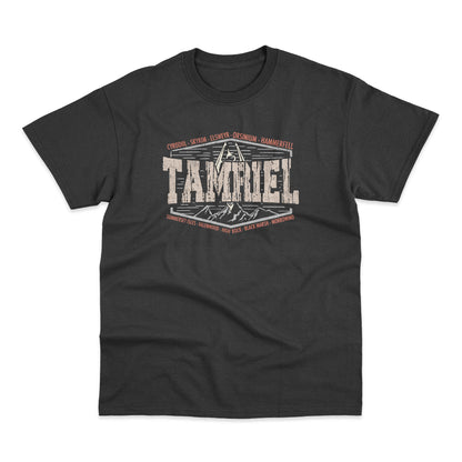 Realms Of Tamriel Elder Scrolls Skyrim Gamer T Shirt Oblivion