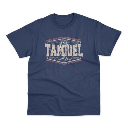 Realms Of Tamriel Elder Scrolls Skyrim Gamer T Shirt Oblivion